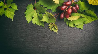 Kırmızı üzüm ve siyah arka plan, kopya alanı üzerine taze üzüm yaprakları