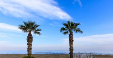 Kum az kabarık bulutlar ile Kıbrıs mavi gökyüzü altında iki palmiye ağaçları büyümek.