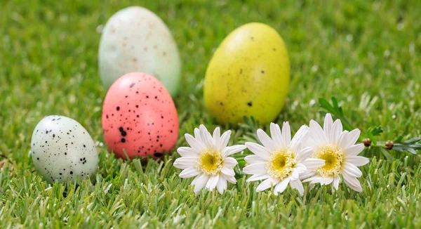 Пасхальные яйца и белые яйца на зеленой траве, крупный план — стоковое фото