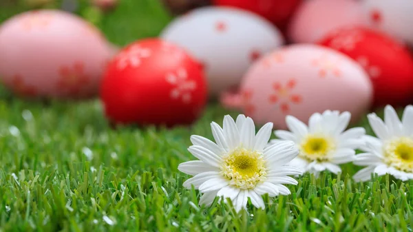 Conceito de Páscoa. Margaridas brancas na grama verde, fundo de ovos de páscoa borrada. Foco seletivo nas flores — Fotografia de Stock