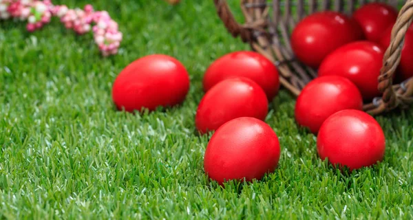 Paskalya yumurtaları yeşil çimenlerin üzerinde bir sepet dışarı kapatmak görünümü, portre — Stok fotoğraf