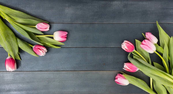 Dia das mulheres. tulipas cor-de-rosa no fundo azul, espaço de cópia, vista superior — Fotografia de Stock