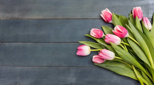 Dia das mulheres. tulipas cor-de-rosa no fundo azul, espaço de cópia, vista superior — Fotografia de Stock