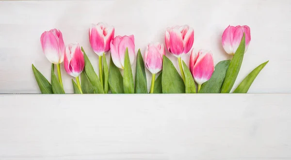 Hora da Primavera. tulipas cor de rosa no fundo azul, espaço de cópia, vista superior, banner — Fotografia de Stock