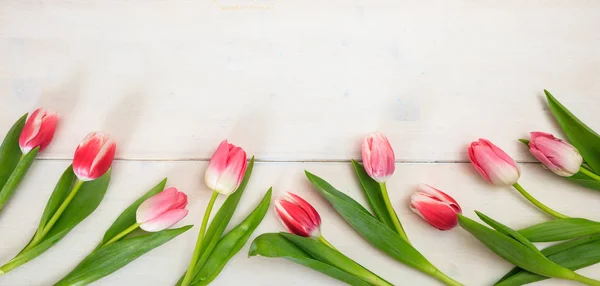 Жіночий день. Рожеві тюльпани бордюр на білому дерев'яному фоні, простір для копіювання, вид зверху, банер — стокове фото