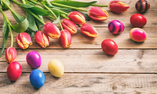 Ovos de Páscoa e tulipas frescas em fundo de madeira, espaço de cópia — Fotografia de Stock