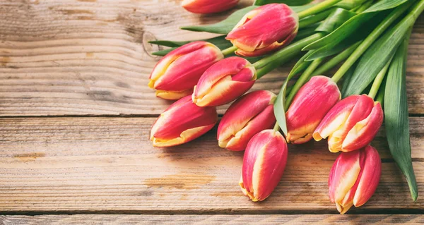 Tulipas em fundo de madeira, espaço de cópia — Fotografia de Stock