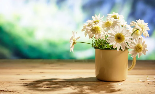 Daisies on wooden table, blur nature background, copy space — Stock Photo, Image