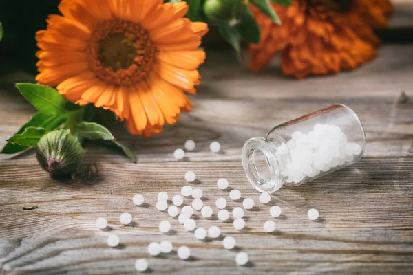 Естественная медицина. Свежий цветок календулы, горшок Мэриголд и белые таблетки на деревянном столе — стоковое фото