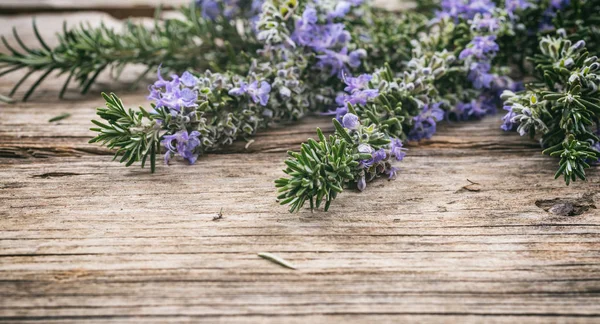 Ahşap bir masa, kopya alanı üzerinde taze çiçek açan biberiye — Stok fotoğraf