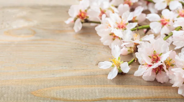Spring blooming. Pink almond blossoms on wooden board. Copy space — Stock Photo, Image