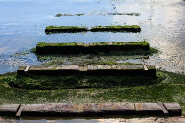 Denize önde gelen yosun ile eski ahşap tekne rampa