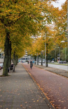 Rotterdam Hollanda 'da bisiklet süren bir adam görülüyor..