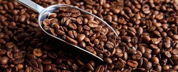 Coffee beans roasting full background, banner — Stock Photo, Image