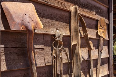 Paslı kürekler ve yıpranmış deri kemerler ahşap bir duvarda asılı, Calico hayalet kasabası, California
