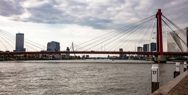 Willemsbrug contro lo skyline di Rotterdam, cielo nuvoloso, Olanda — Foto Stock