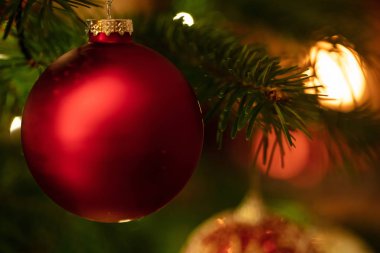 Noel mücevheri ladin üzerinde asılı, yakın çekim manzarası