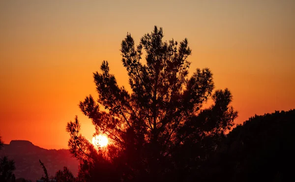 Восход солнца, закат сквозь силуэт дерева. Солнечные лучи красят желтым и оранжевым цветом небо — стоковое фото