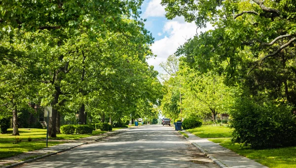 Usa 'nın güneybatısındaki bir banliyöde, huzurlu, boş bir caddeye park edilmiş araçlar. Yeşil ağaç yaprakları ve mavi gökyüzü, bahar zamanı.