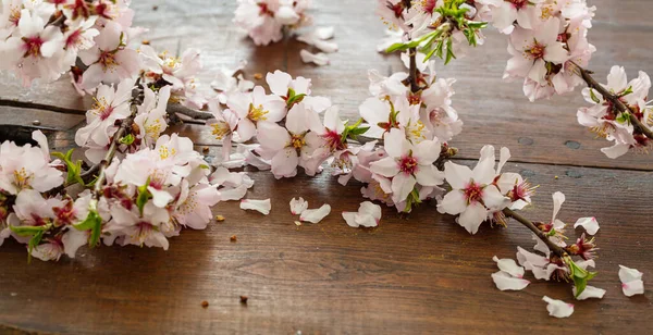 Almond Flowers Wood Table Background Close View Banner Springtime Seasonal — Stock Photo, Image