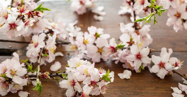 Almond Flowers Wood Table Background Springtime Seasonal Natural Decoration Close — Stock Photo, Image