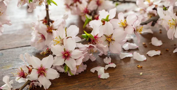 Fiori Mandorlo Sfondo Tavolo Legno Vista Vicino Primavera Decorazione Naturale — Foto Stock