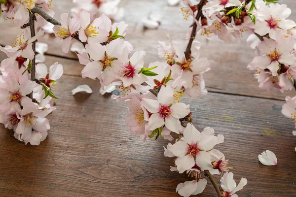 Almond Blossoms Wood Table Background Springtime Seasonal Natural Decoration Close — Stock Photo, Image