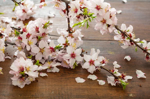 Fiori Mandorlo Sfondo Tavolo Legno Primavera Decorazione Naturale Stagionale Vista — Foto Stock