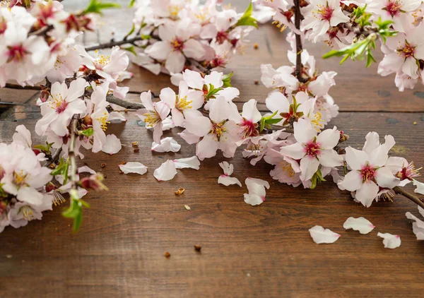 Almond Blossoms Wood Table Background Springtime Seasonal Natural Decoration Close — Stock Photo, Image