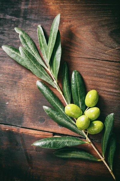 Olivovník Olivami Dřevě Čerstvá Olivová Ratolest Syrové Zelené Olivy Dřevěném — Stock fotografie