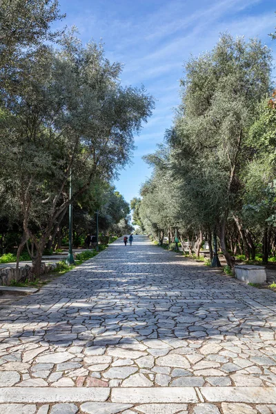 ギリシャのアテネにあるFilopappou丘の古い石舗装歩道 人々は晴れた日に古代アクロポリスの下の石畳の道を歩く 周りの木々 垂直方向の景色 — ストック写真