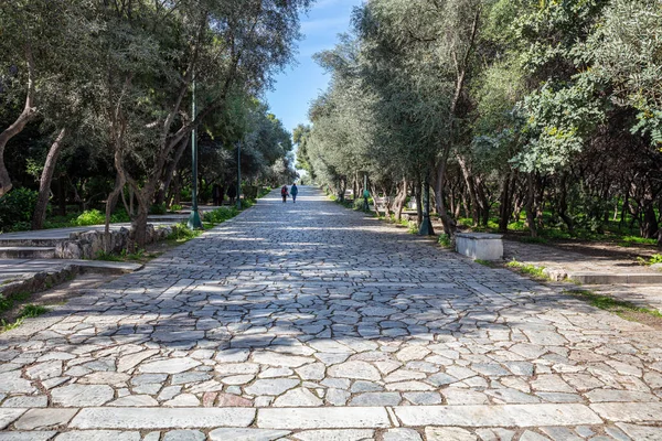 希腊雅典Phiilopappou山上的旧大理石铺面人行道 在古老的雅典卫城下面 人们走过一个阳光灿烂的日子 一条鹅卵石路 周围的树 — 图库照片