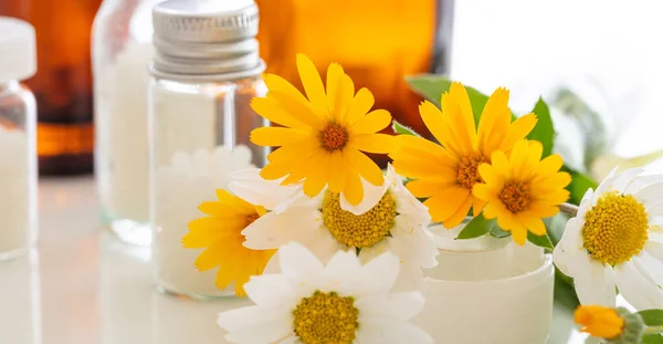Medicina Herbal Alternativa Margaritas Frescas Color Amarillo Silvestre Homeopático Productos —  Fotos de Stock