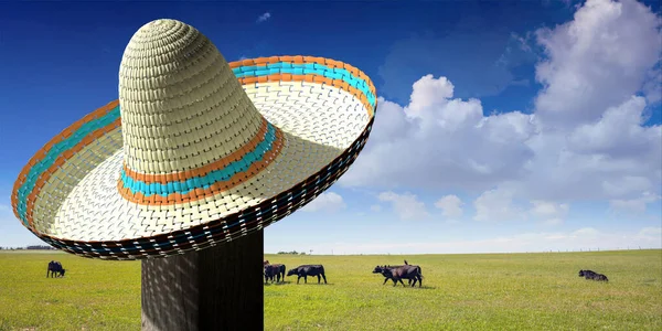 Sobrero mexican hat shade sun protection, green field pasture with cattle and sky with clouds background. 3d illustration