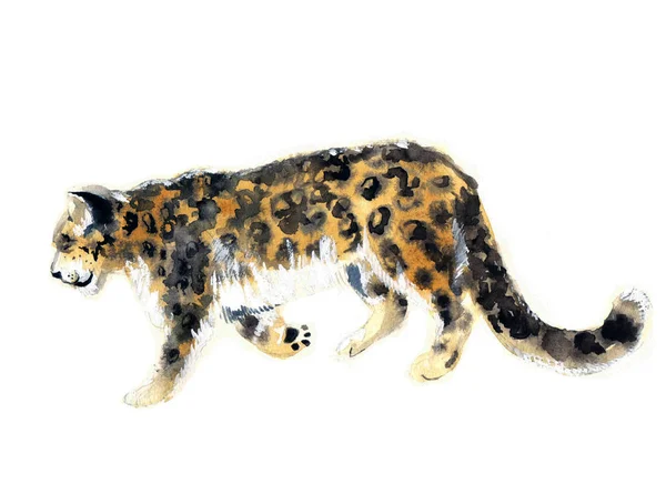 Leopardo acuarela sobre fondo blanco —  Fotos de Stock