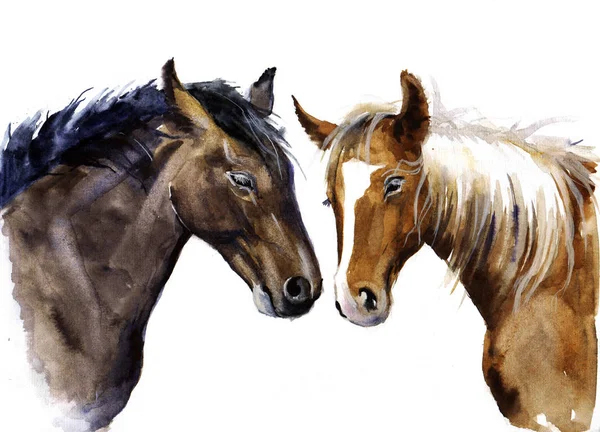 sówatercolor: DESENHO - Desenho do cavalo