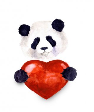 Sulu Boya şirin sevgilisi Sevgililer havanese panda beyaz arka plan üzerinde izole kırmızı bir kalp tutuyor. Valentin'es günün kutlu olsun. Resimde tebrik kartı, poster, afiş için