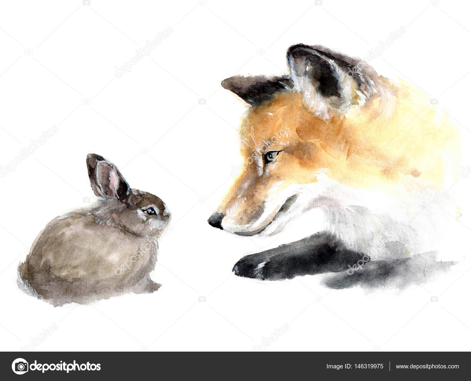 Très joli renard aquarelle mignon avec lapin. Croquis aquarelle de  silhouette animale. Illustration animalière. Aquarelle graphique pour  tissu, carte postale, carte de vœux, livre — Illustration de stock par  ©TatianaKomtsian - 146319975, image size:1600x1296