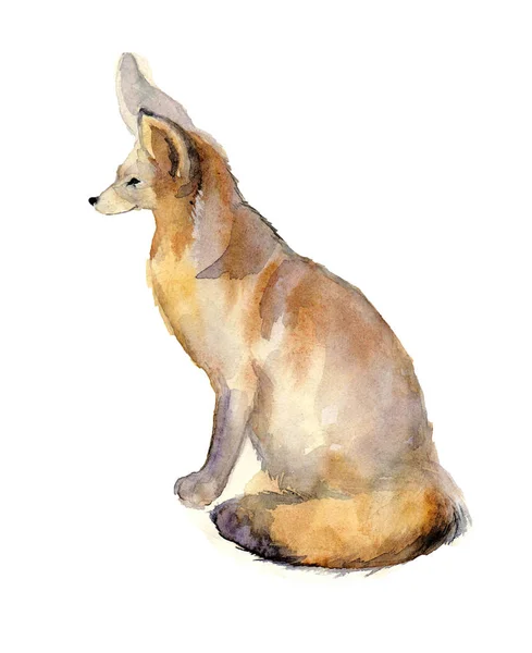 Akvarell liten räv Fenech på de färgglada vit bakgrunden. Akvarell skiss djur illustration — Stockfoto