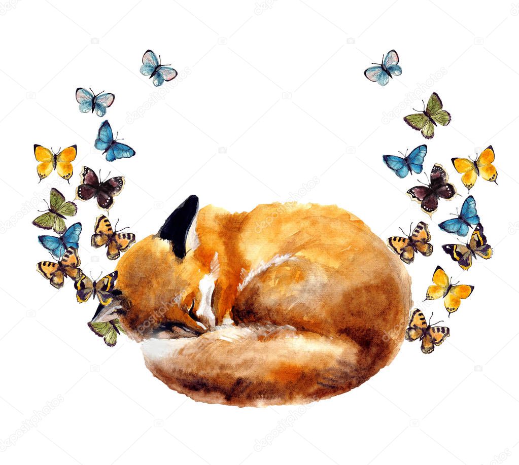 Watercolor fox with butterfly on the white background