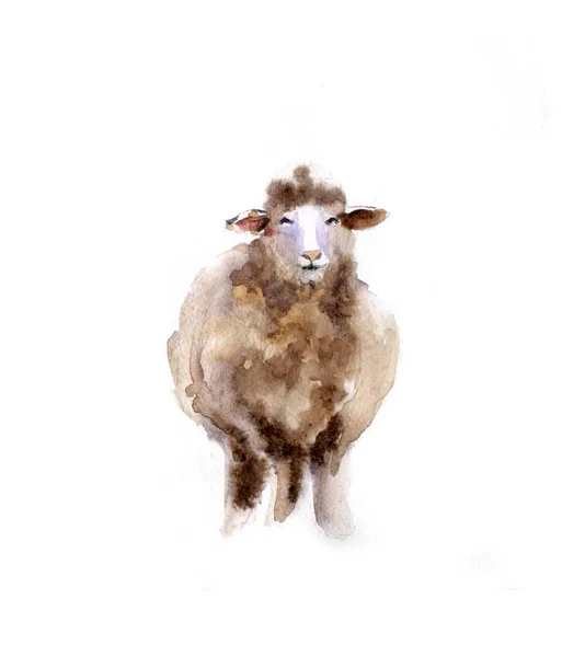 Acquerello pecore, disegnato a mano disegno carino. Animali da fattoria creativi. Contesto per la comunità musulmana, Festival del sacrificio, Eid-Al-Adha Mubarak. T-shirt grafica — Foto Stock