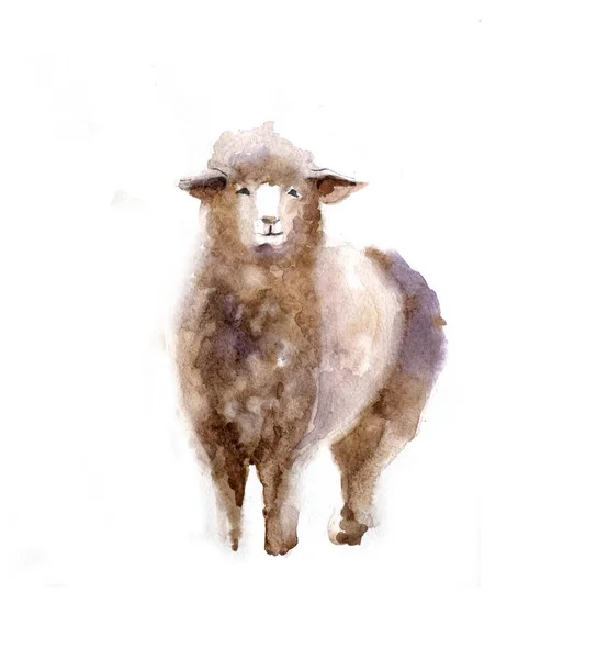 Acuarela oveja, dibujado a mano linda ilustración. Animales de granja creativos. Antecedentes de la comunidad musulmana, Festival del Sacrificio, Eid-Al-Adha Mubarak. Camiseta gráfica —  Fotos de Stock