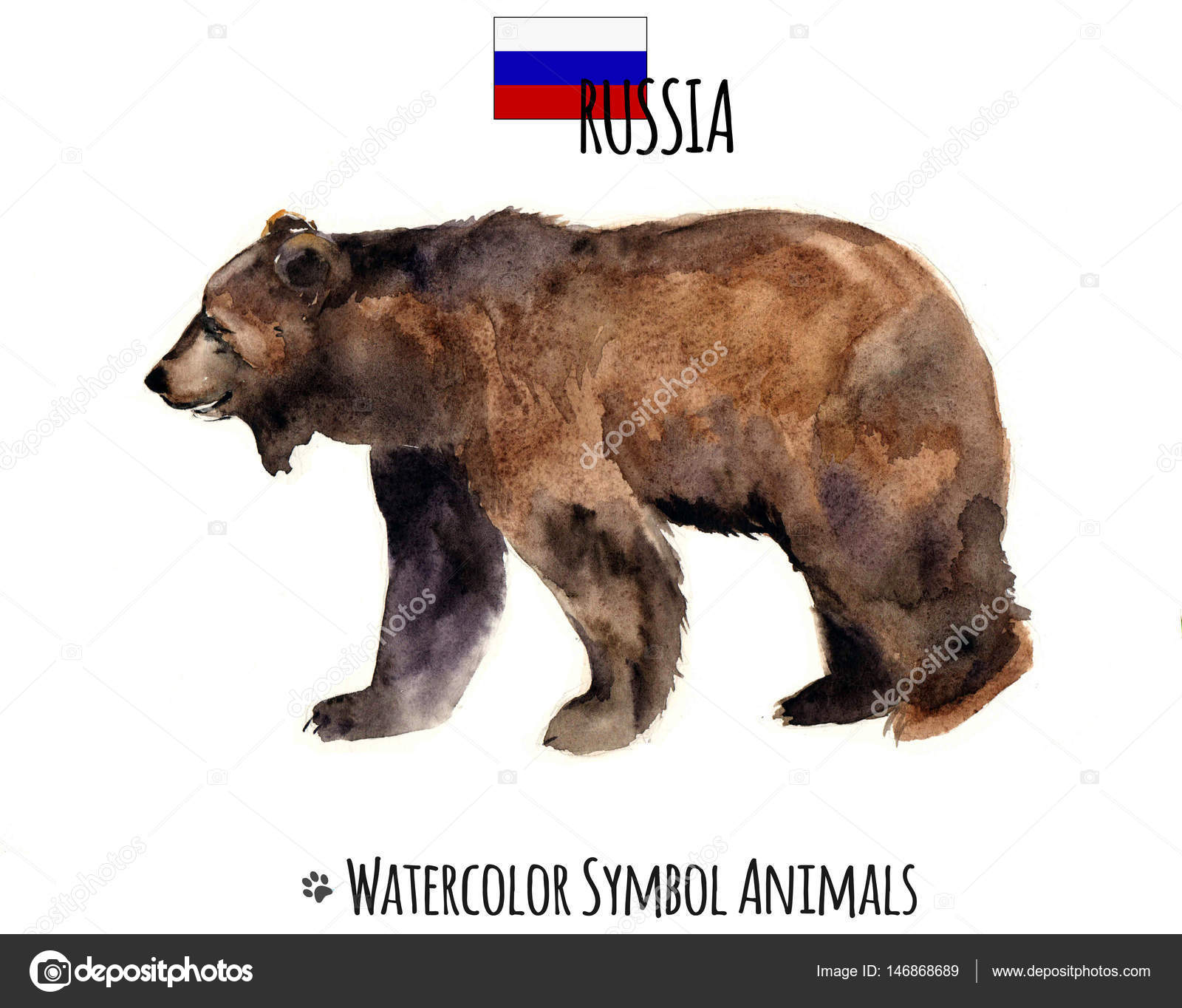 水彩動物。ペットのイラスト。かわいい野生のクマ。水彩のロシアの