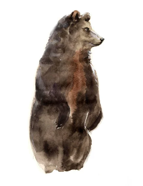 Hewan air berwarna. Hewan peliharaan ilustrasi. beruang liar imut. Simbol Watercolor Russia. Ilustrasi seni dari siluet beruang braun terisolasi pada latar belakang putih. Gambar sketsa warna air — Stok Foto