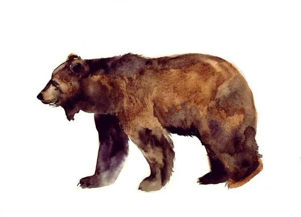 Animales de acuarela. Mascotas ilustraciones. lindo oso silvestre. acuarela símbolo de Rusia. Ilustración artística de una silueta de oso braun aislada sobre un fondo blanco. Dibujo de acuarela —  Fotos de Stock