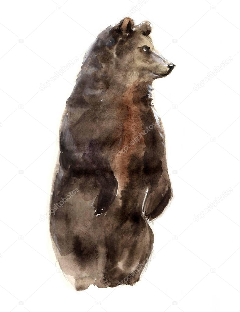 Watercolor animals. Pets illustrations.Cute wild bear.Watercolor Russia symbol. Art illustration of a braun bear silhouette isolated on a white background. Watercolor sketch drawing