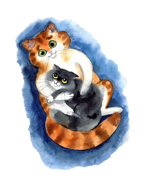 Akvarell Söta Katter Den Vita Bakgrunden — Stockfoto