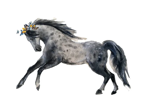 Watercolor Horse White Background — 스톡 사진