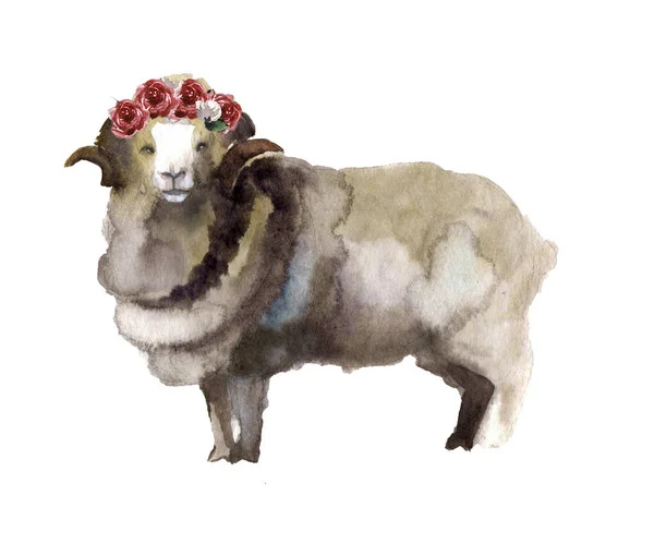 Cute Watercolor Sheep Flowers — 스톡 사진