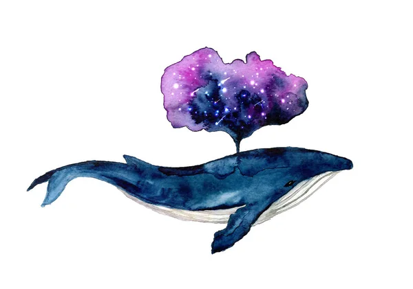 Cute Watercolor Whale Starry Sky White Background — Stock Photo, Image